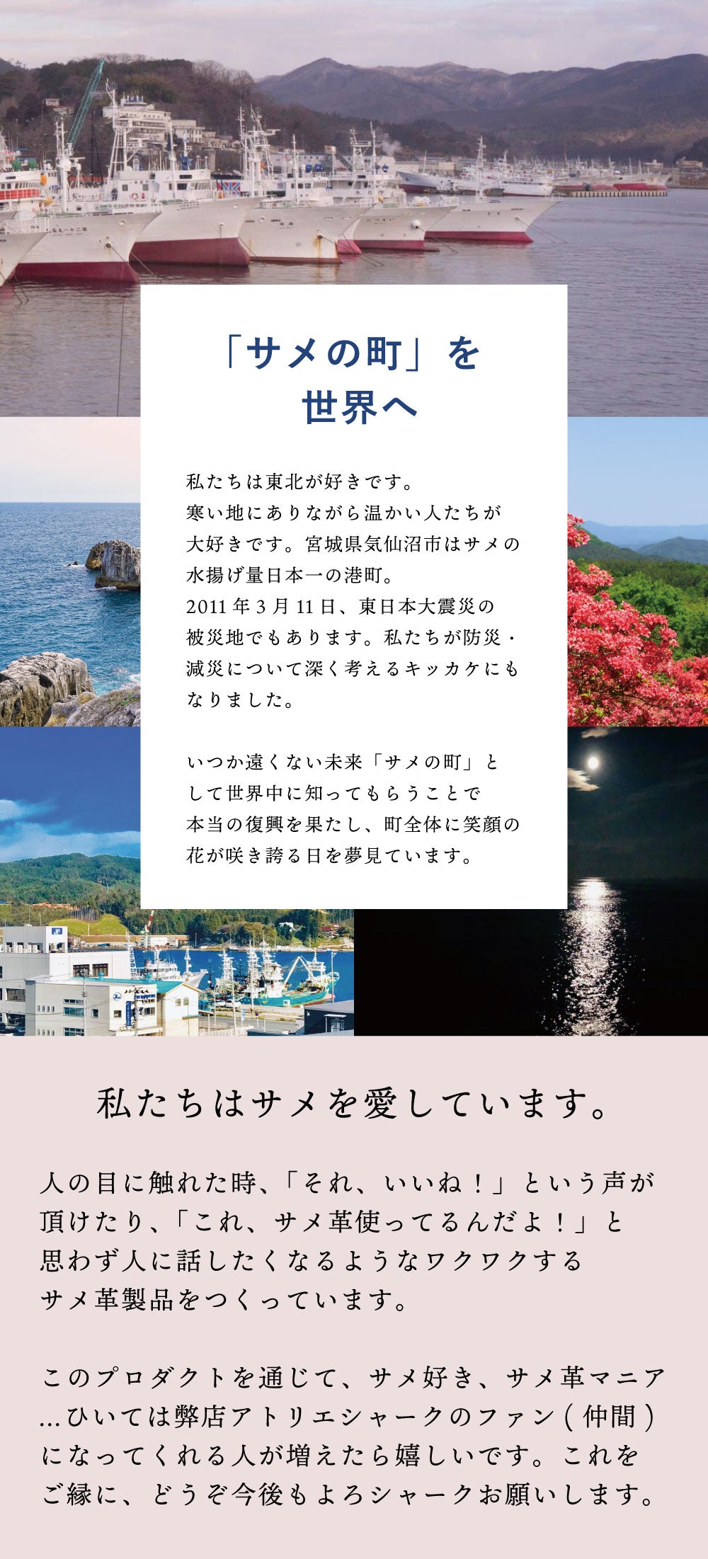 サメ革マネークリップ / 小銭入れスペースなし