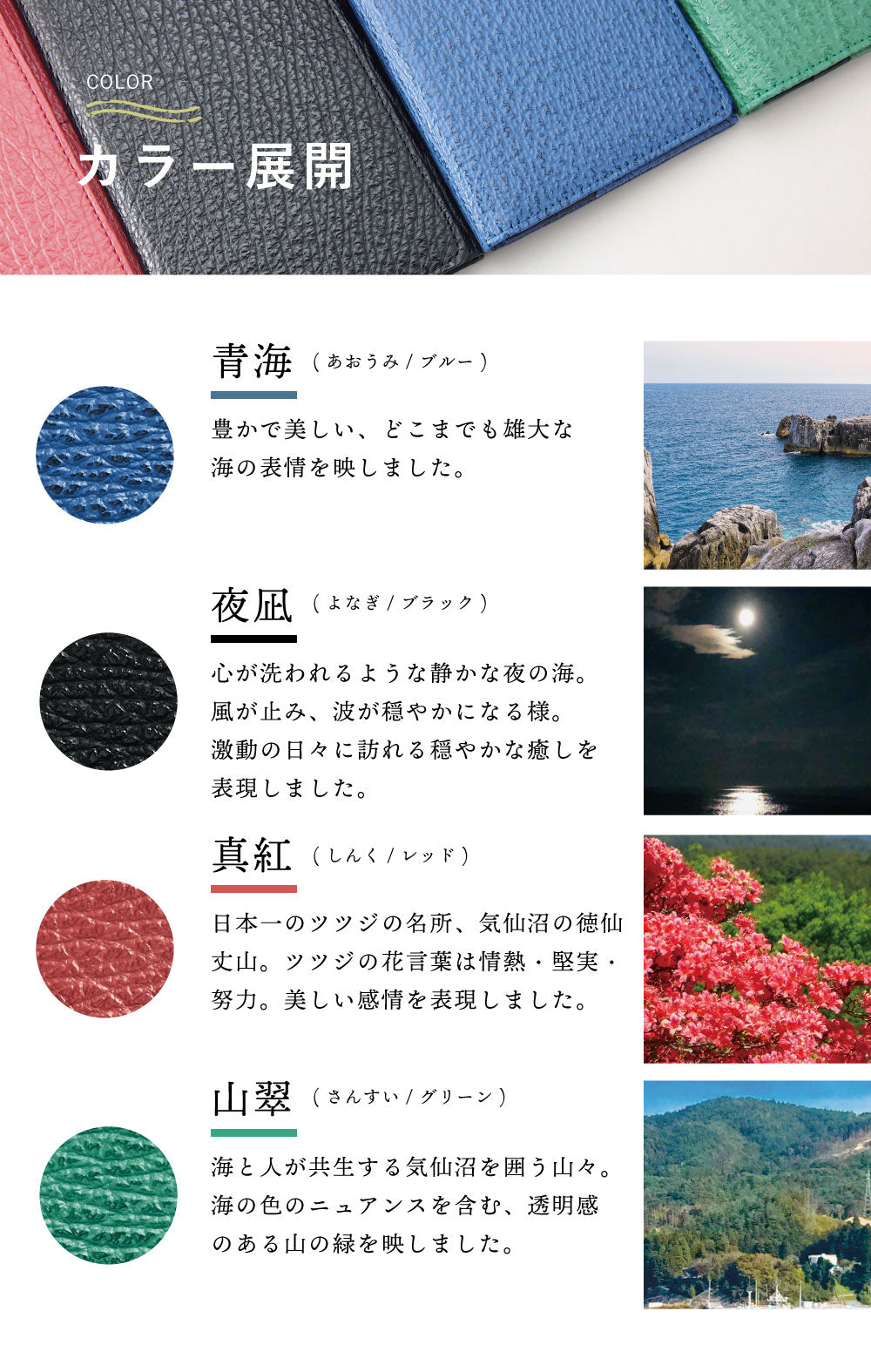 サメ革マネークリップ / 小銭入れスペースなし