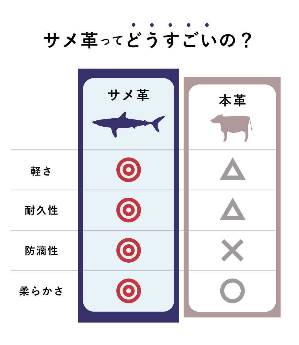 サメ革 コインケース / BOX型 小銭入れ